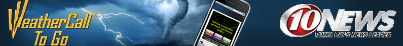 WeatherCall ToGo